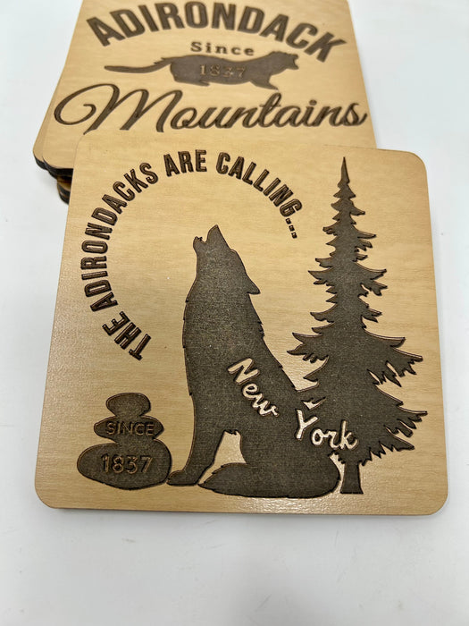 Adirondack Mountains Coasters