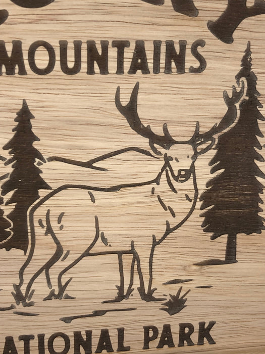 US National Parks Rustic Wood Framed Wall Plaque