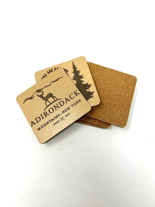 Adirondack Mountains Coasters