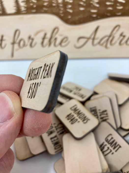 Adirondack 46 Peaks Challenge Mountain Tracker