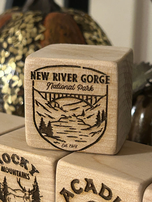 US National Parks Building Blocks