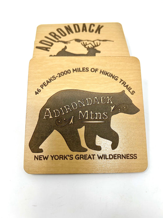 Adirondack Mountains Coasters