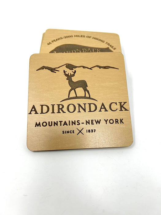 Adirondack Mountains Coasters
