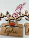 Reindeer Christmas Ornaments