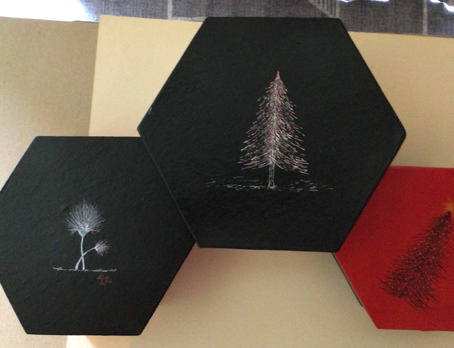 Hexagon set of 3 Christmas/Winter Boxes