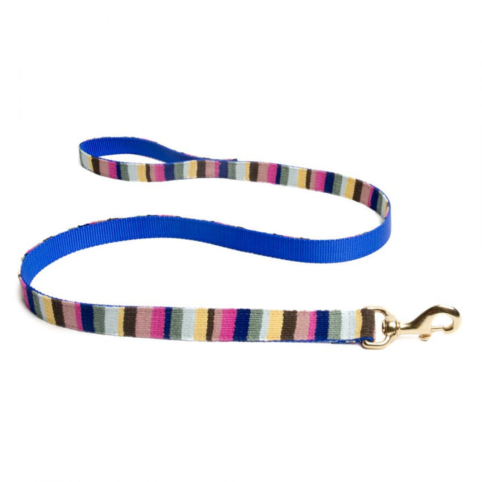 a tail we could wag Leash - At the Beach