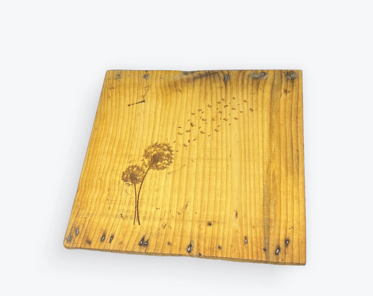 Barnwood Wall Art - handmade artwork by Etched in the Finger Lakes | Shop Finger Lakes NY